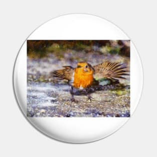 Dancing Robin Pin