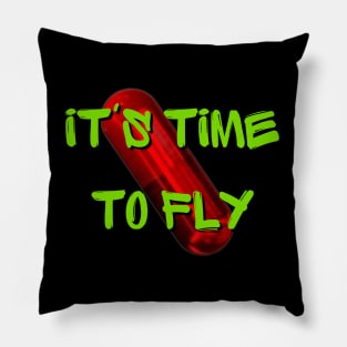 it's time to fly Pillow