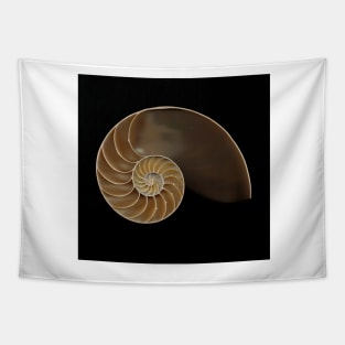 Chambered nautilus shell Tapestry