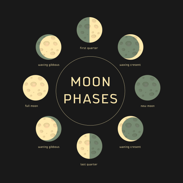 moon phases by CloudyStars