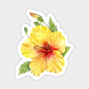 Yellow Tropical Hibiscus Magnet