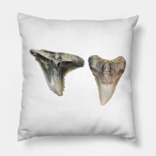 Two Shark Teeth Fossil Print Pillow