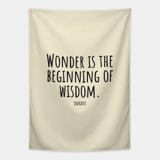 Wonder-is-the-beginning-of-wisdom.(Socrates) Tapestry