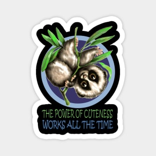 Cute Loris Magnet