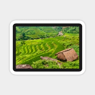 Rice Terraces. Magnet