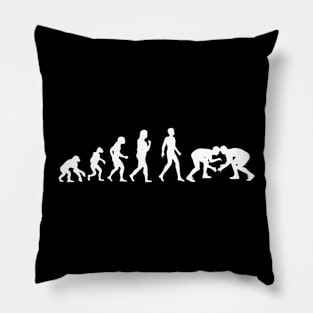 Wrestling Evolution Funny Art Parody Pillow