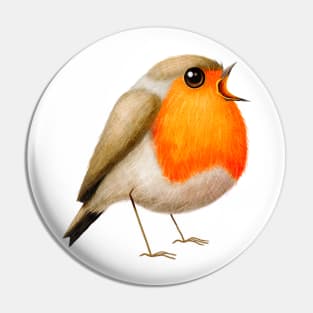 Robin Pin