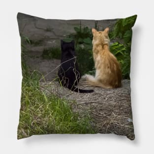 Ginger and black cats sit side by side in the grass and look from the stairs. View from the back Pillow