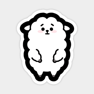 RJ Magnet