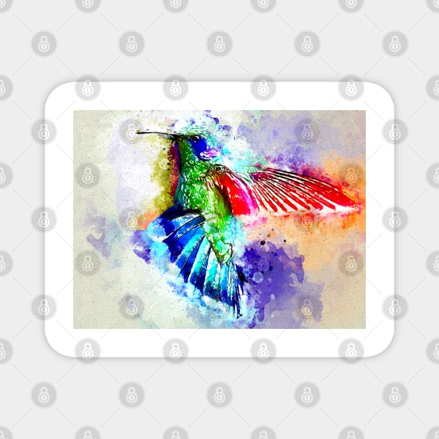 Watercolor Hummingbird Magnet by danieljanda