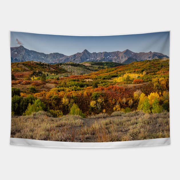 Dallas Divide Tapestry by StacyWhite