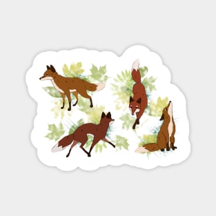 Four red foxes Magnet