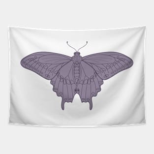 Black Swallowtail Butterfly in Purple Tapestry