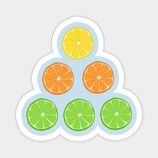 Citrus Fruit Magnet