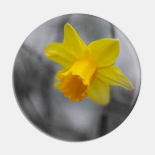 yellow flower Pin