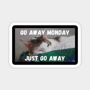 Funny Cats Magnet