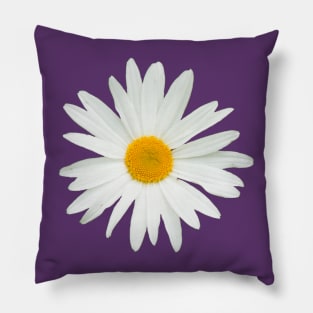 Daisy flower Pillow