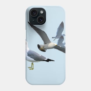 Black Tailed Gulls Phone Case