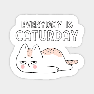 Every Day Is Caturday Magnet