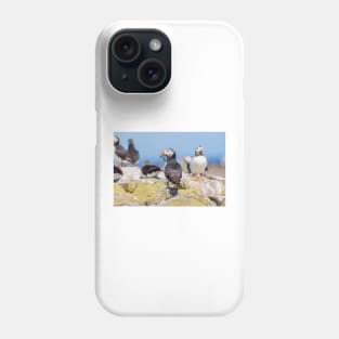 Atlantic Puffin with Sand Eels Phone Case