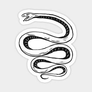 Snake Vintage Drawing Magnet