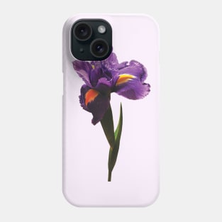 Irises - One Purple Iris Phone Case