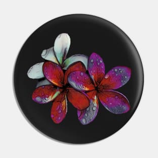 Frangipani raindrops Pin