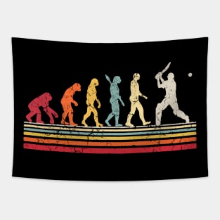 COLORFUL BASEBALL EVOLUTION Tapestry