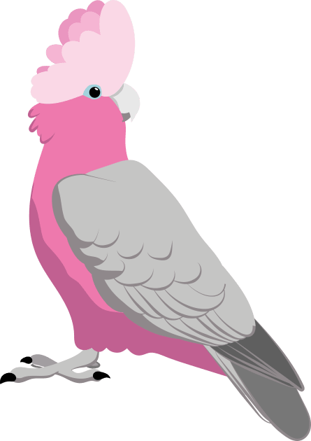 Galah pink cockatoo Kids T-Shirt by Zolinstudio