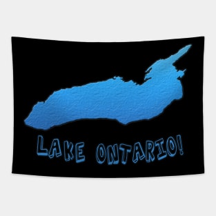 Lake Ontario Great Lakes Outline Tapestry