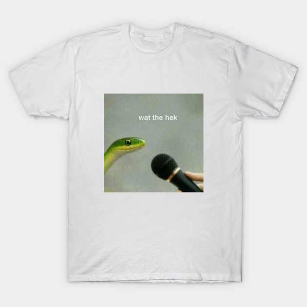 Snake What The Heck Funny Reaction Meme Reaction Meme T Shirt Teepublic