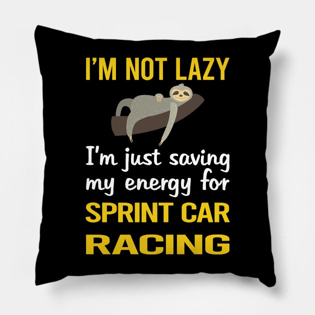 Funny Lazy Sprint Car Cars Racing Pillow by relativeshrimp