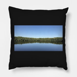 Weedon Island Preserve Mangroves Pillow