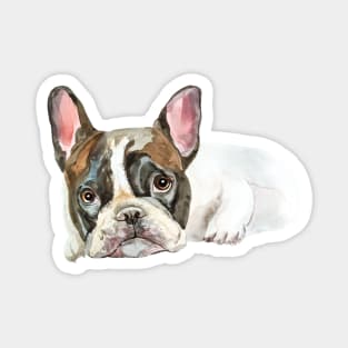 French bulldog Magnet