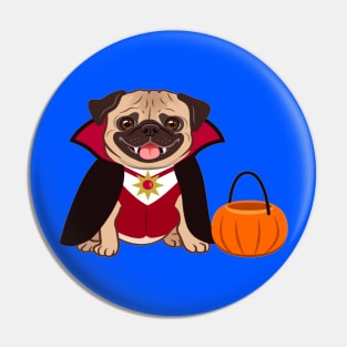 Halloween pug dog in vampire costume cartoon illustration. Cute friendly fat chubby fawn sitting pug puppy, smiling with tongue out. Pets, dog lovers Pin