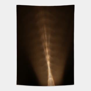 Lumina Golden Beam · refracted ray of light on black surface · abstract photo Tapestry