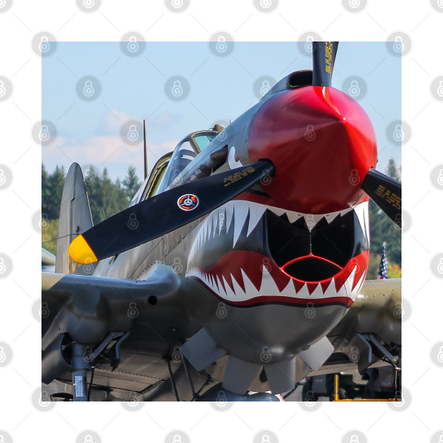 Disover P-40E Shark-Mouth close-up - P 40 Warhawk - T-Shirt