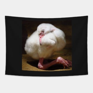 Caribbean Flamingo chick Tapestry