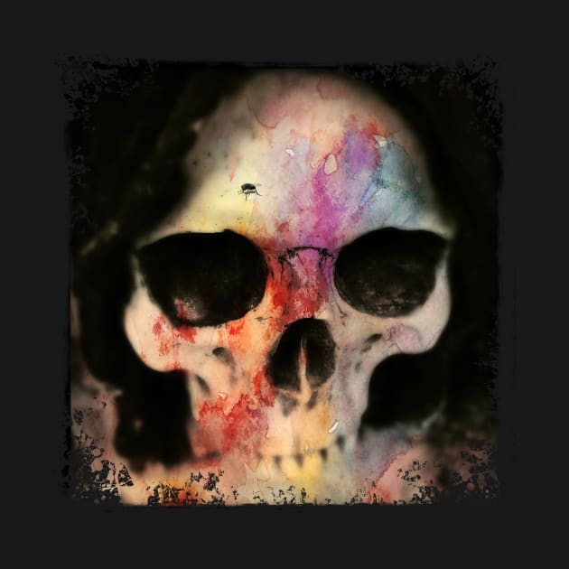 Colourful Skull with FLY by DyrkWyst