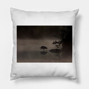 Black-crowned Night heron Pillow