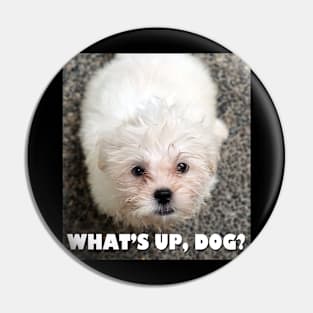 What's up, dog? Pin