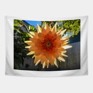 A Back-lit Orange Dahlia Tapestry