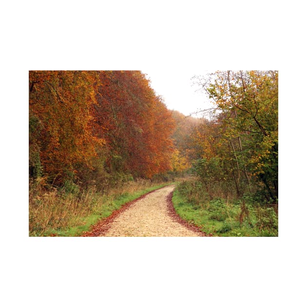 Winding Autumn Track by pinkal