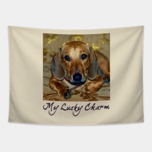 My Lucky Charm Dachshund Dog Tapestry