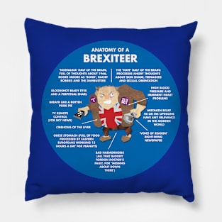 ANATOMY OF A BREXITEER - ITS COMPOSITION AND THOUGHT-PROCESSES Pillow