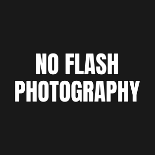 No Flash Photography T-Shirt