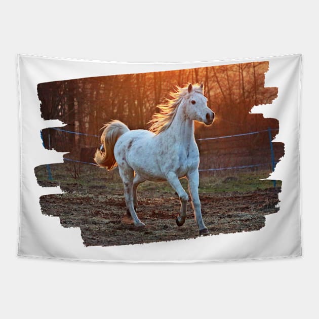 horse photo Tapestry by power horse