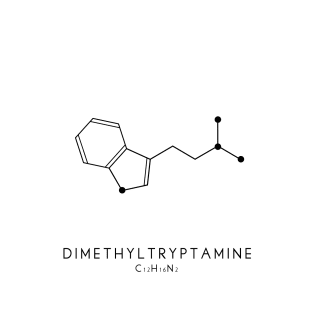 Dimethyltryptamine / DMT Molecular Structure in White T-Shirt