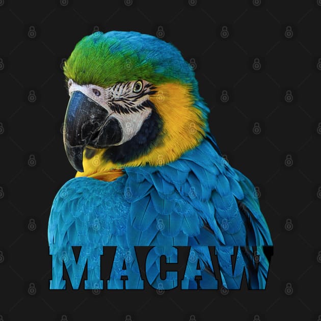 Beautiful Blue and Gold Macaw Parrot Image and Word by Einstein Parrot