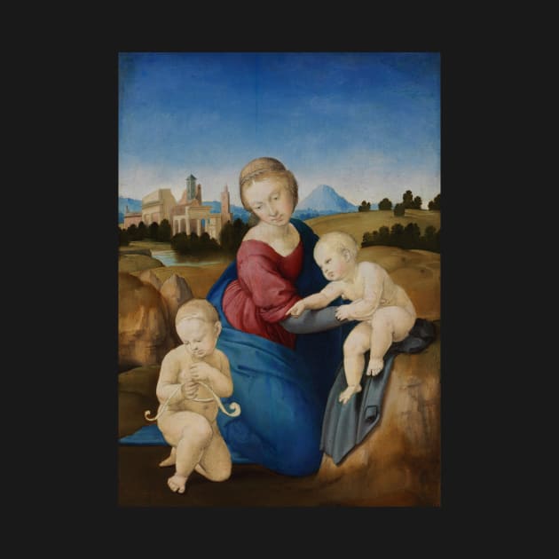 Madonna and Child with the Infant Saint John by Raphael by Classic Art Stall